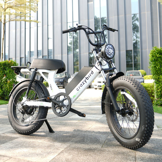 Crazybird CB50 Vélo électrique