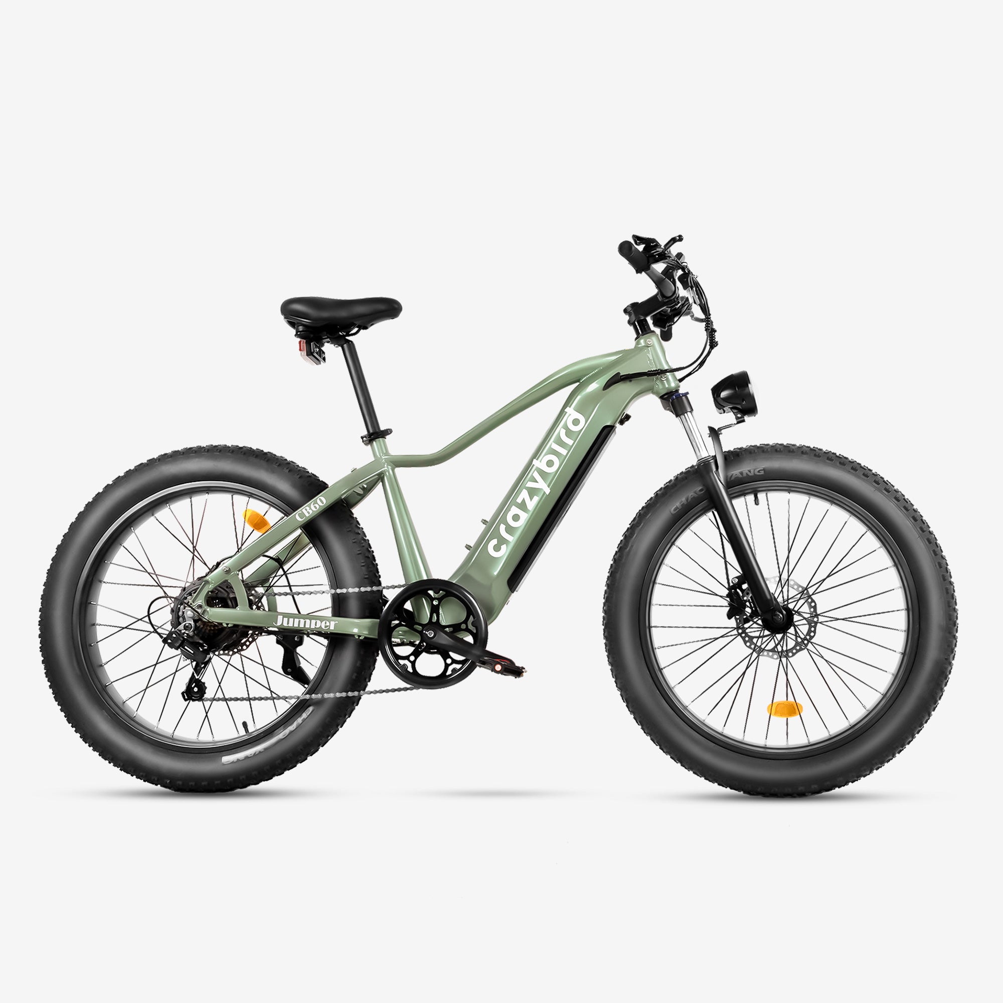 Vélo Électrique Crazybird-Jumper pour Adultes avec Moteur 750W