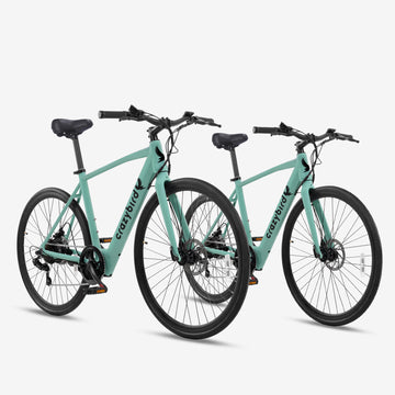 Crazybird Vente combinée CB20*2