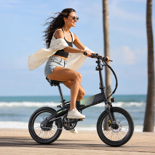 Crazybird CU2 ebike
