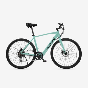 Crazybird CB20 velo electrique