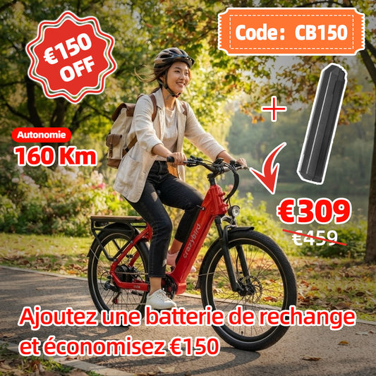 Crazybird Seta velo electrique