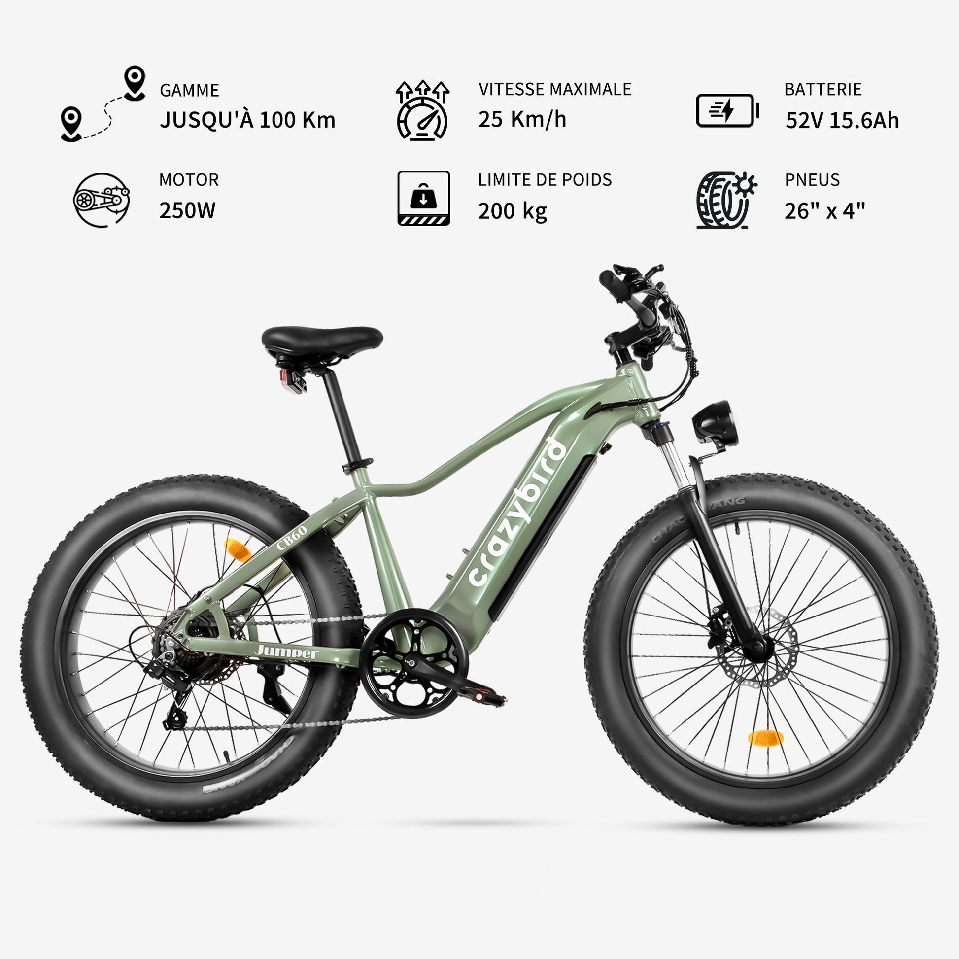Vélo Électrique Crazybird-Jumper pour Adultes avec Moteur 750W