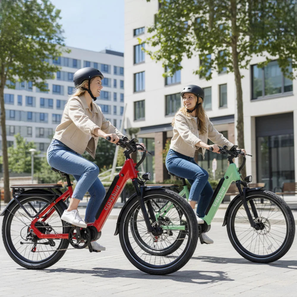 Seta Vélo de ville électrique 48V 14Ah 26*2.5 la mode