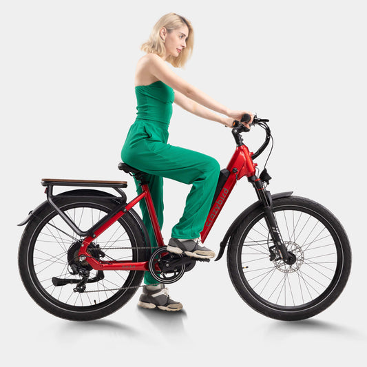 Crazybird Seta E-Bike